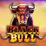 Black Bull